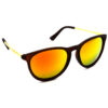 Hrinkar Mirrored & UV Protection Modish Golden Round Shades For Men & Women - HRS324-BWN
