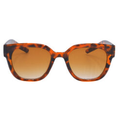 Brown Round Sunglasses with Clear Brown Gradient Lenses