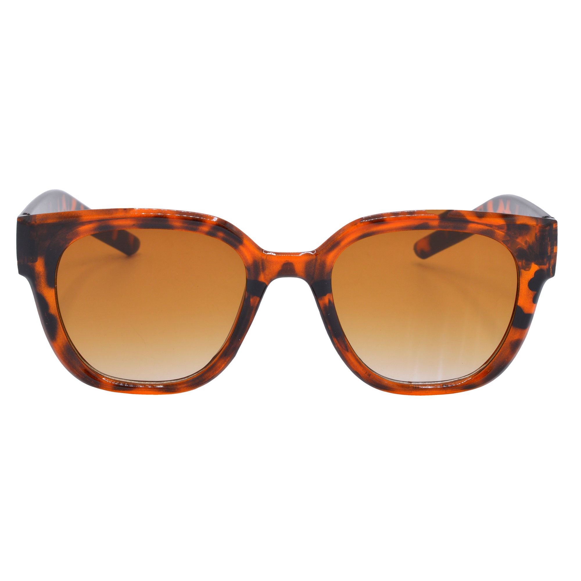 Brown Round Sunglasses with Clear Brown Gradient Lenses